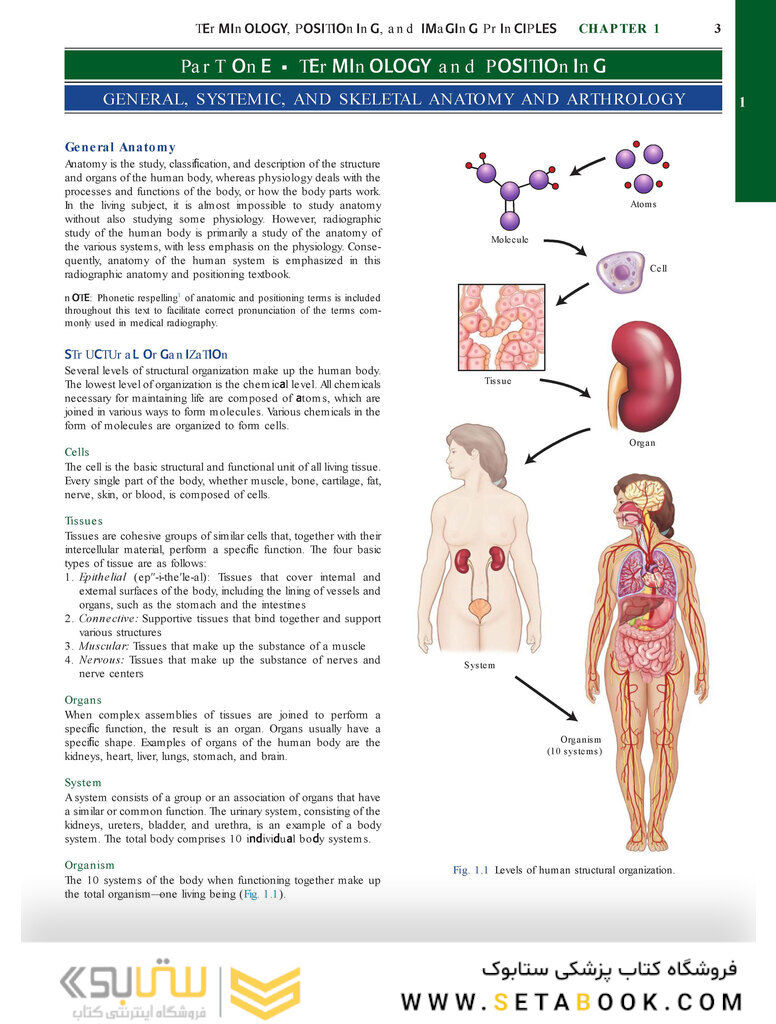 Bontrager’s Textbook of Radiographic Positioning and Related Anatomy, 9th Edition2017