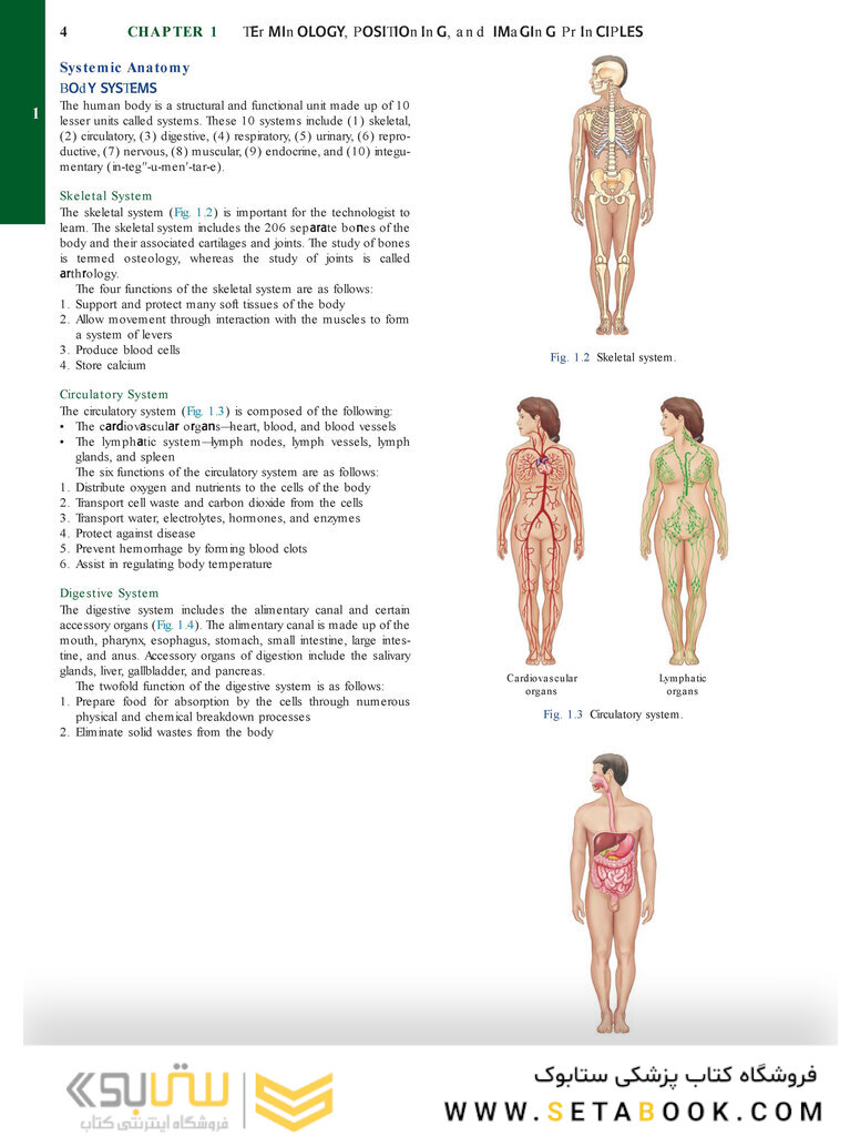 Bontrager’s Textbook of Radiographic Positioning and Related Anatomy, 9th Edition2017