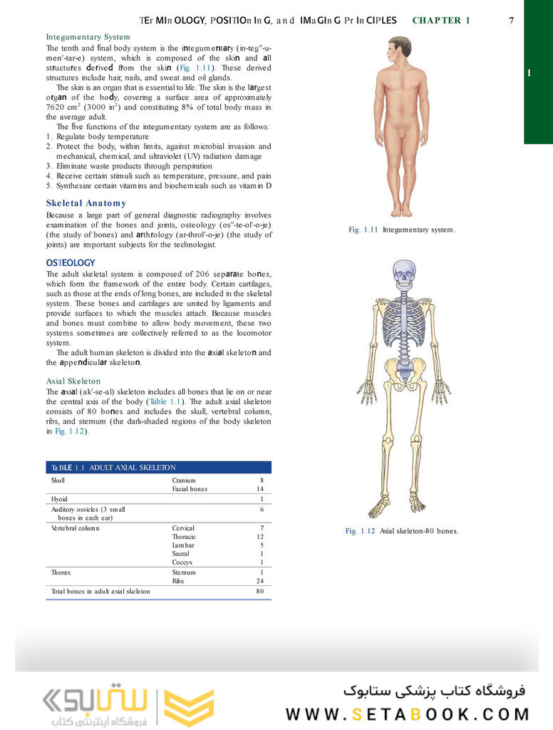 Bontrager’s Textbook of Radiographic Positioning and Related Anatomy, 9th Edition2017