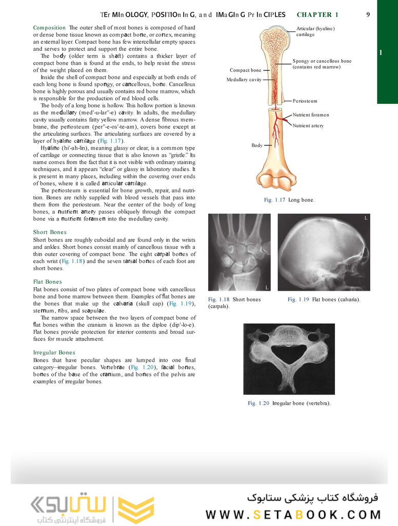 Bontrager’s Textbook of Radiographic Positioning and Related Anatomy, 9th Edition2017