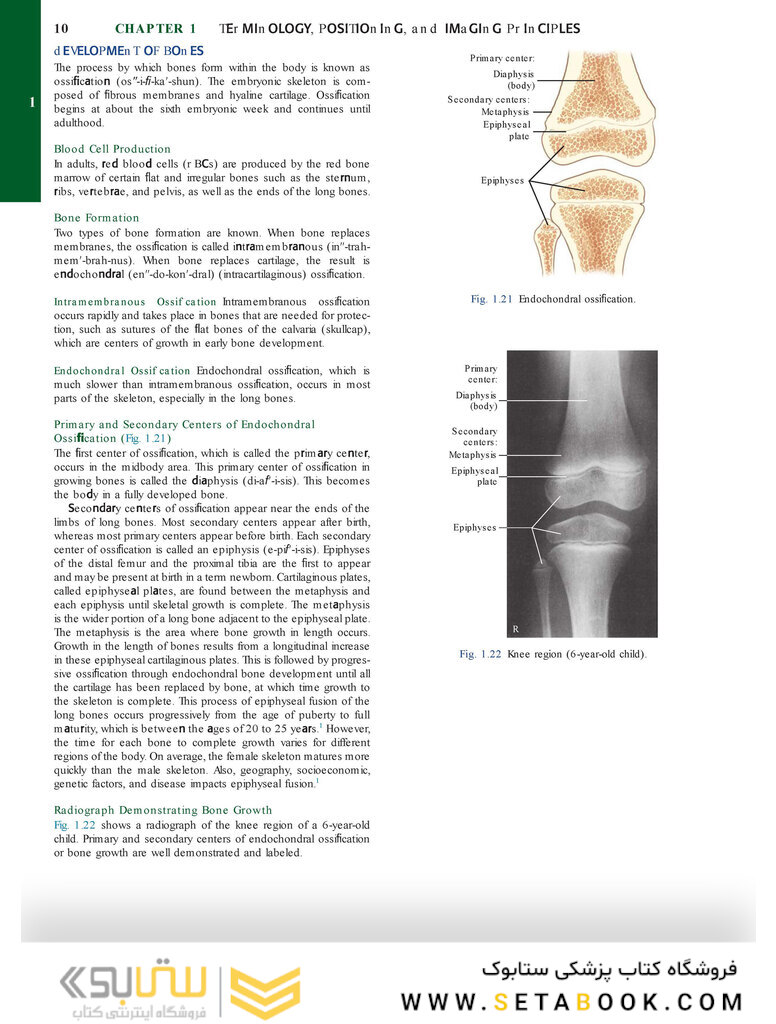 Bontrager’s Textbook of Radiographic Positioning and Related Anatomy, 9th Edition2017