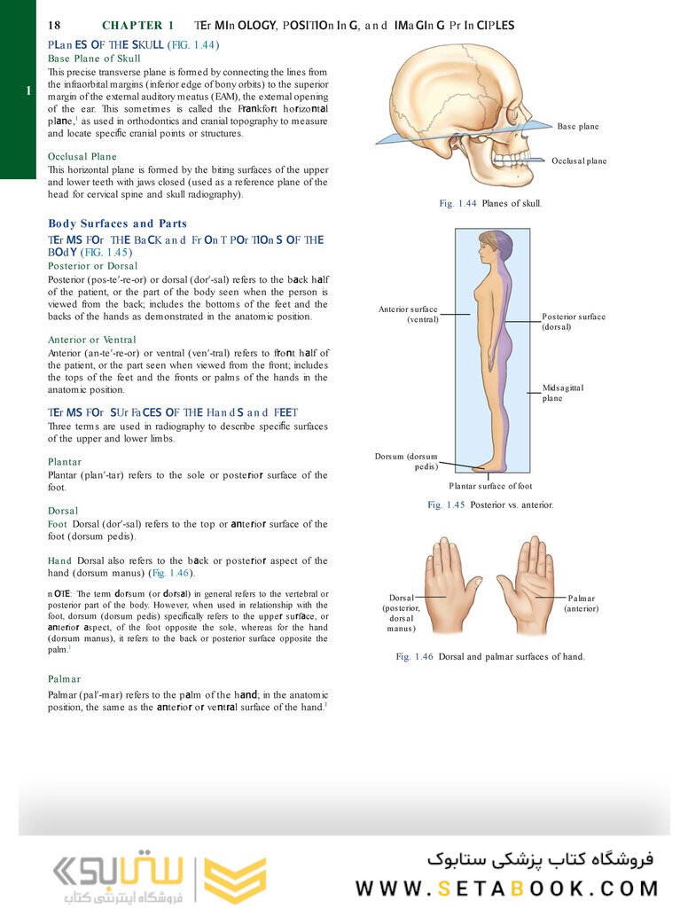 Bontrager’s Textbook of Radiographic Positioning and Related Anatomy, 9th Edition2017