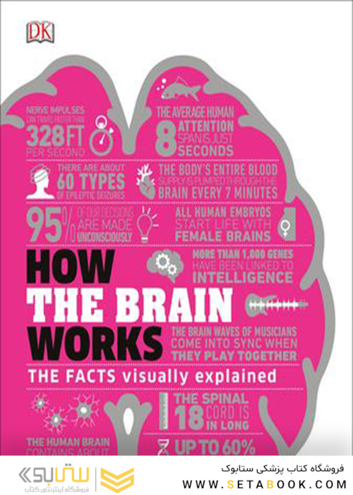How the Brain Works: The Facts Visually Explained (How Things Work)2020