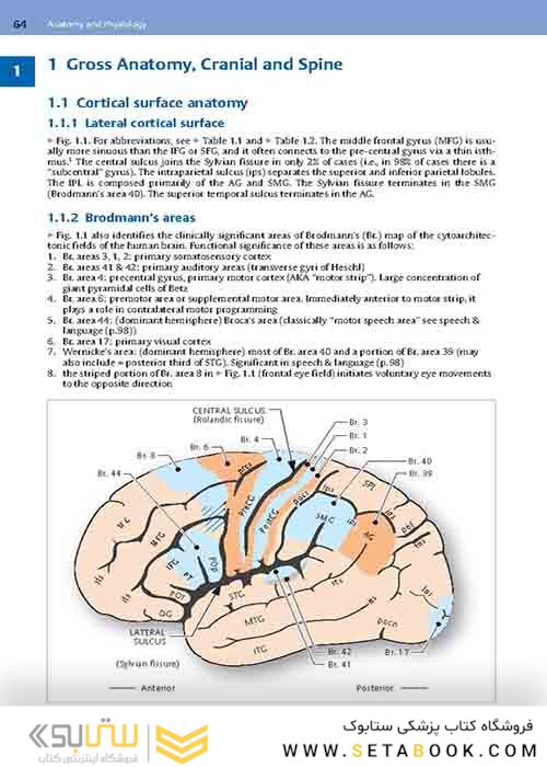Handbook of Neurosurgery2020  9th Edition