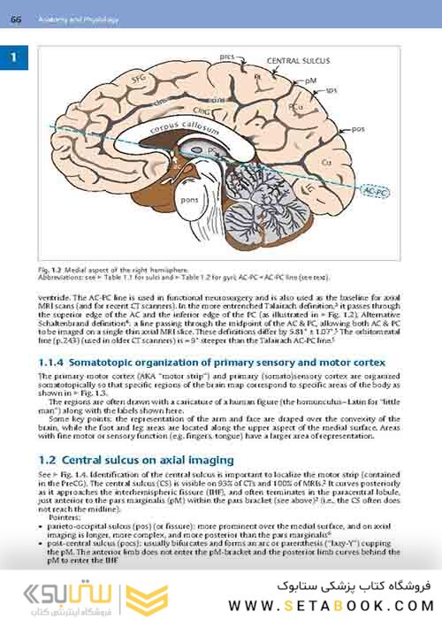 Handbook of Neurosurgery2020  9th Edition