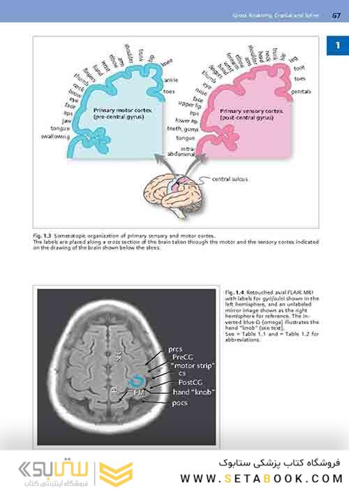 Handbook of Neurosurgery2020  9th Edition