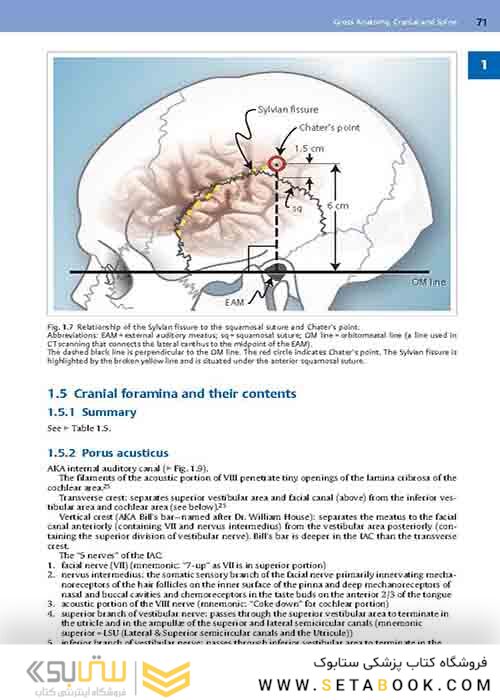 Handbook of Neurosurgery2020  9th Edition