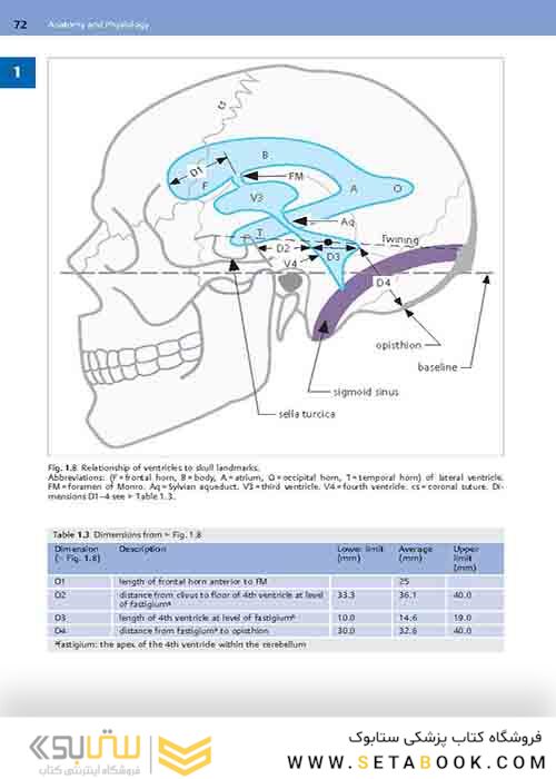 Handbook of Neurosurgery2020  9th Edition