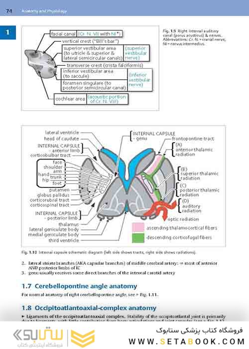 Handbook of Neurosurgery2020  9th Edition