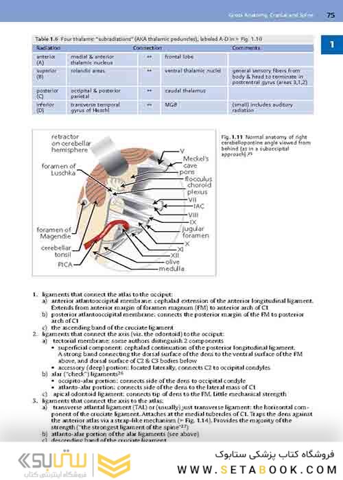 Handbook of Neurosurgery2020  9th Edition