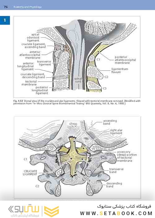 Handbook of Neurosurgery2020  9th Edition