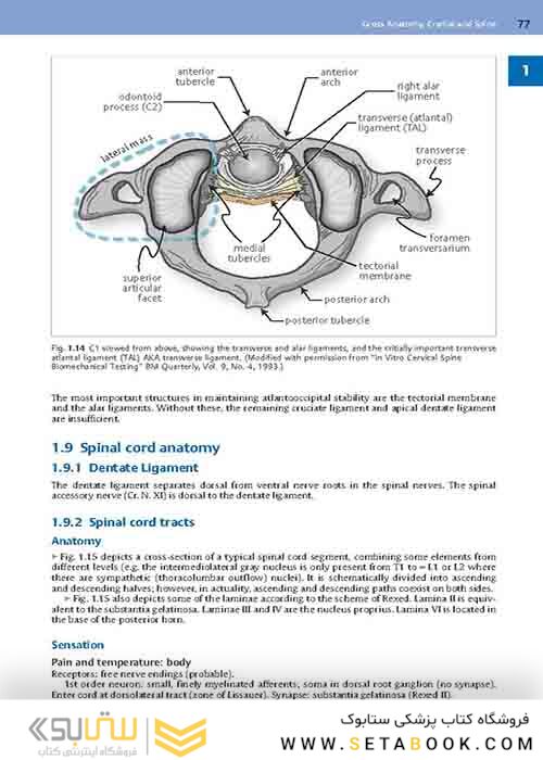 Handbook of Neurosurgery2020  9th Edition