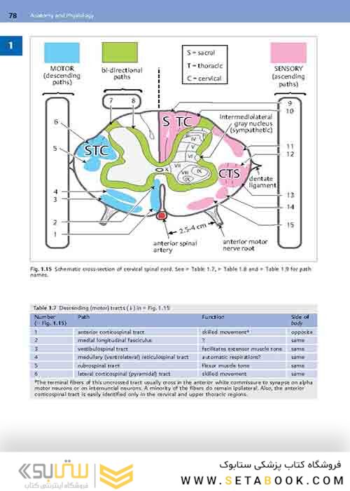 Handbook of Neurosurgery2020  9th Edition