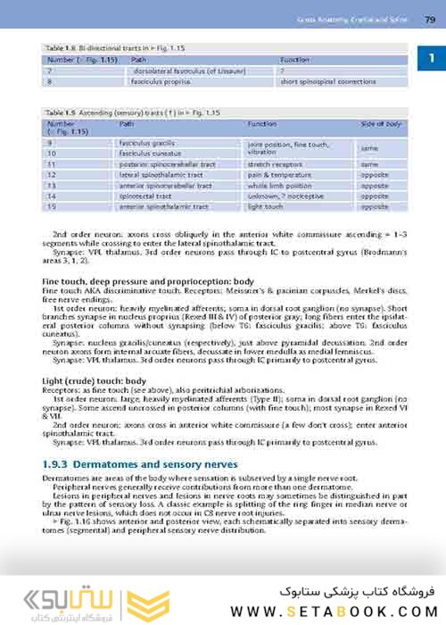 Handbook of Neurosurgery2020  9th Edition