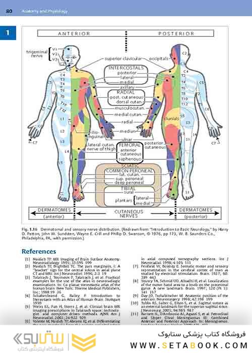 Handbook of Neurosurgery2020  9th Edition
