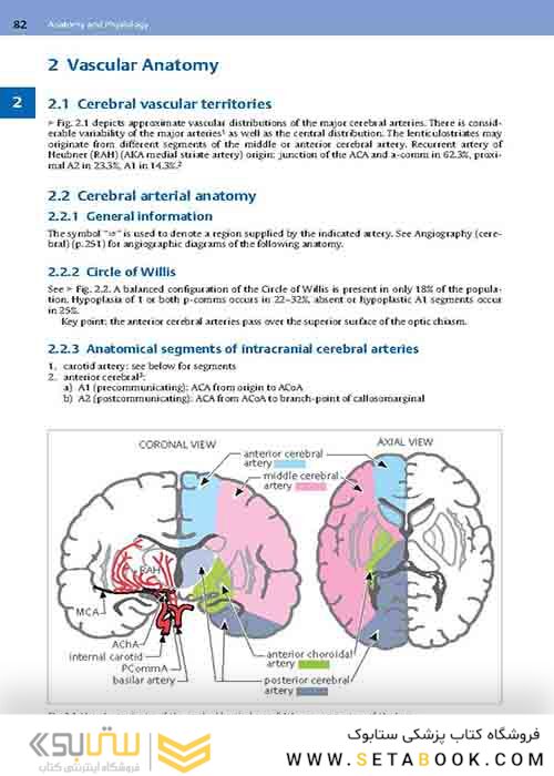 Handbook of Neurosurgery2020  9th Edition