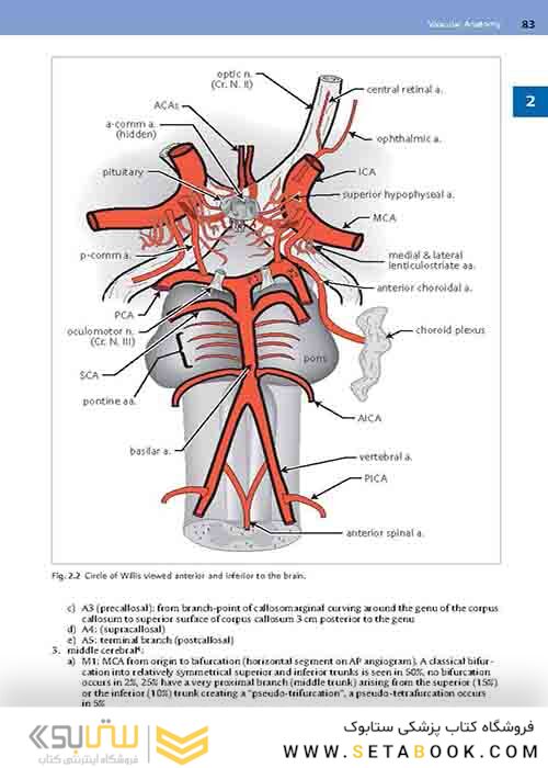 Handbook of Neurosurgery2020  9th Edition