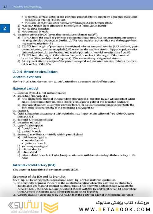 Handbook of Neurosurgery2020  9th Edition