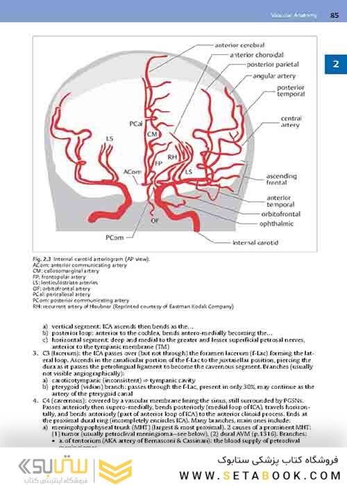 Handbook of Neurosurgery2020  9th Edition