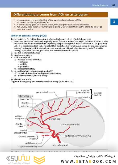 Handbook of Neurosurgery2020  9th Edition