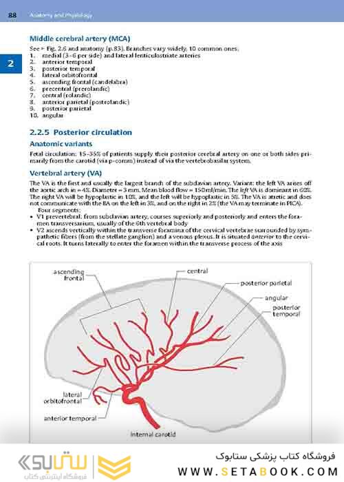 Handbook of Neurosurgery2020  9th Edition