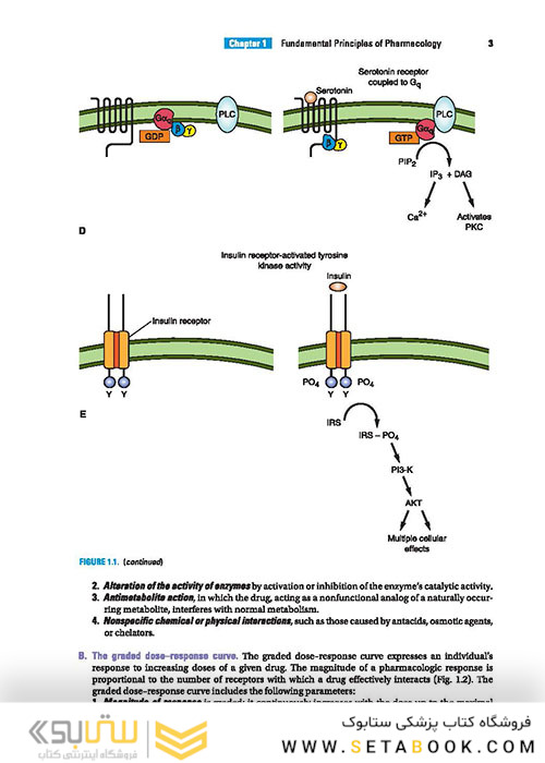 BRS Pharmacology 7th Edition