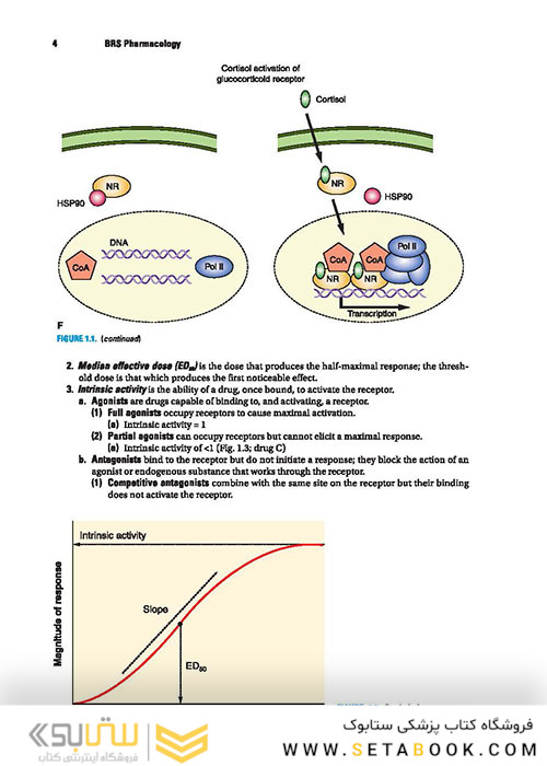BRS Pharmacology 7th Edition