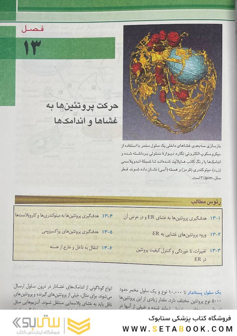 زیست شناسی سلولی مولکولی لودیش 2021 جلد 2