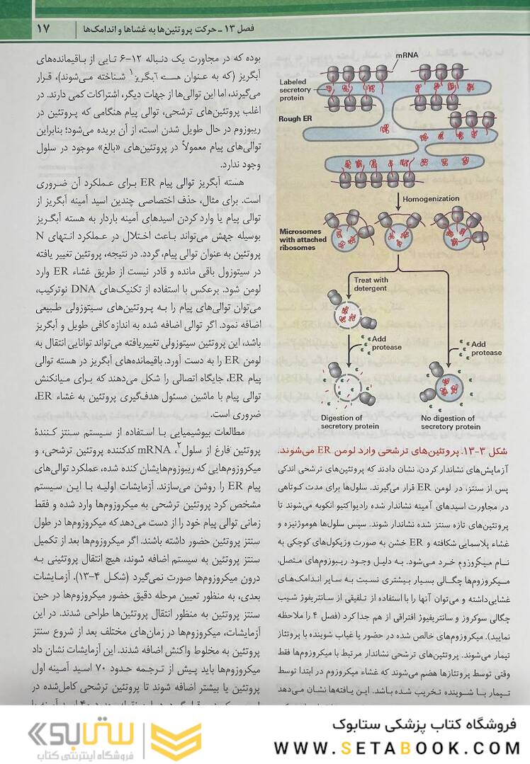 زیست شناسی سلولی مولکولی لودیش 2021 جلد 2