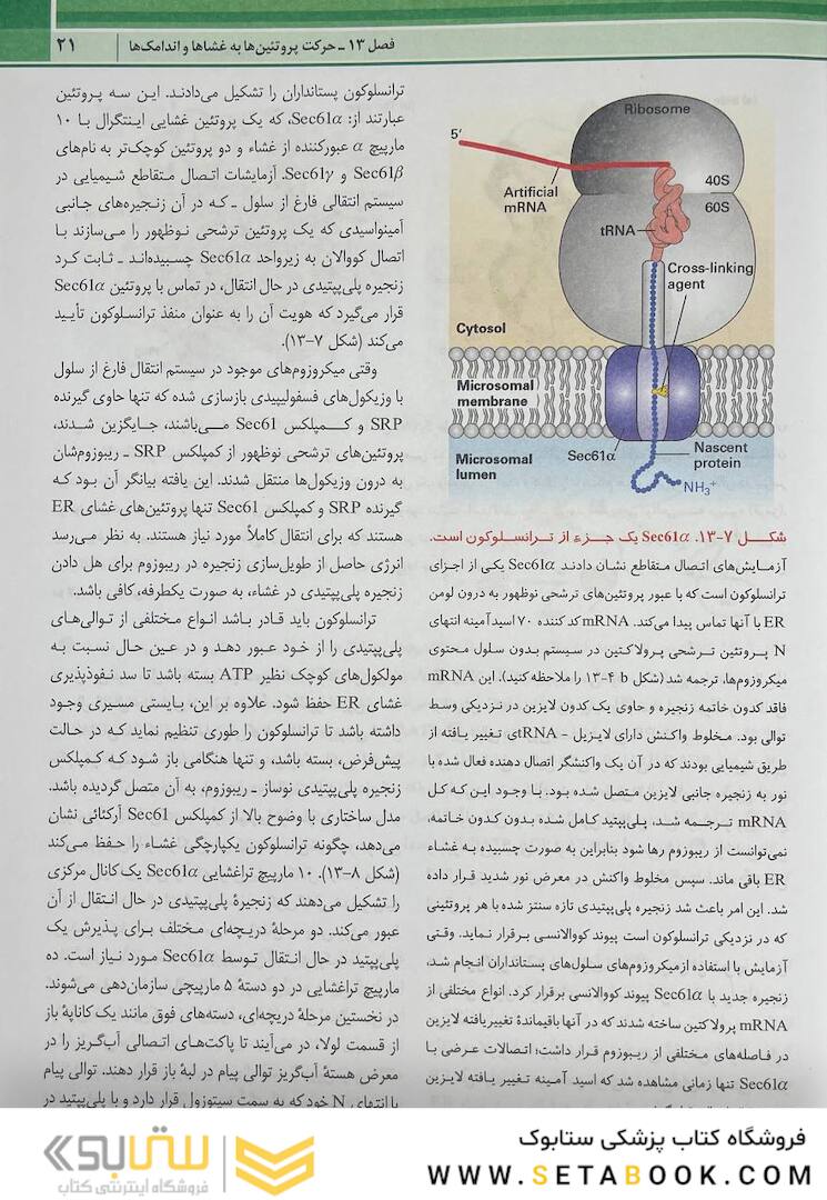 زیست شناسی سلولی مولکولی لودیش 2021 جلد 2