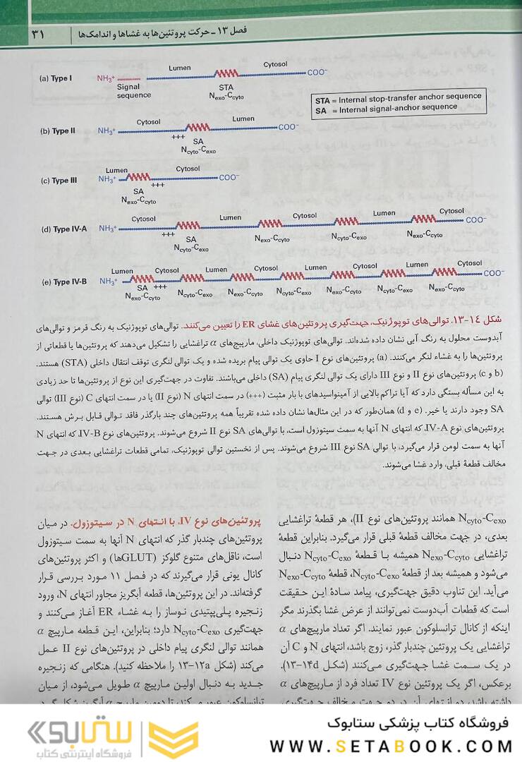 زیست شناسی سلولی مولکولی لودیش 2021 جلد 2