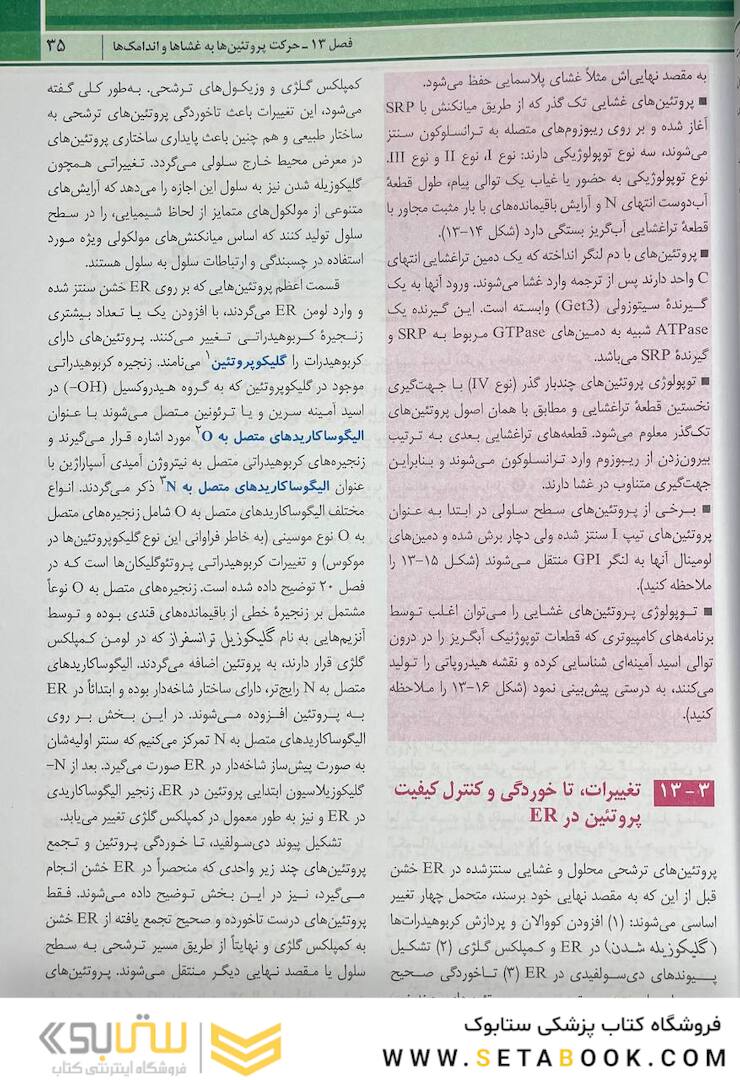 زیست شناسی سلولی مولکولی لودیش 2021 جلد 2