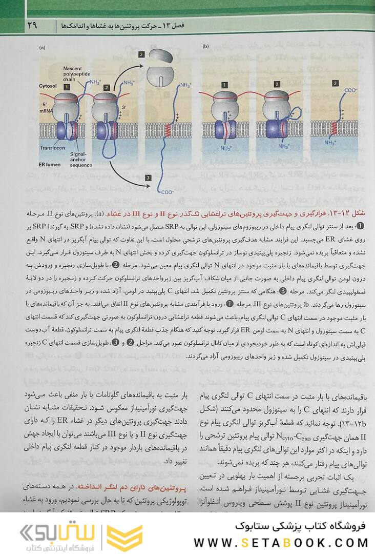 زیست شناسی سلولی مولکولی لودیش 2021 جلد 2