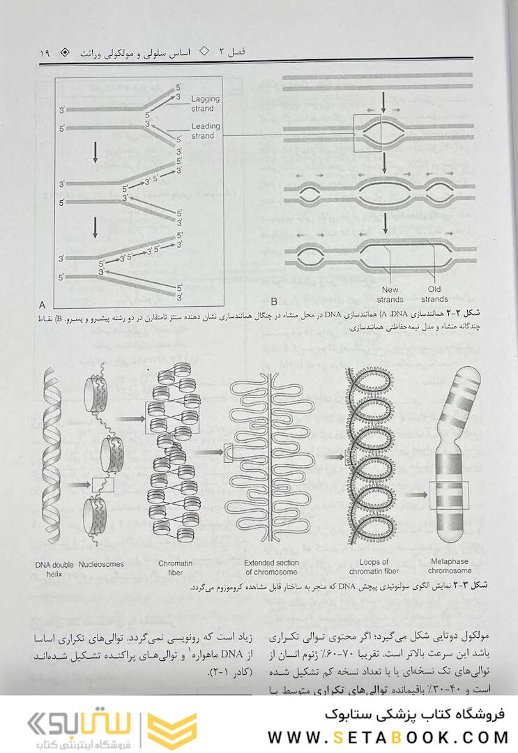 چکیده ژنتیک پزشکی امری 2021 ویرایش شانزدهم دکتر نجات مهدیه