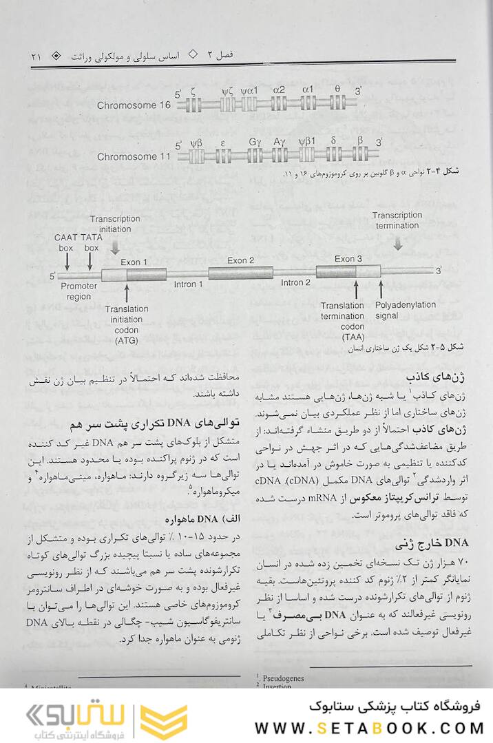 چکیده ژنتیک پزشکی امری 2021 ویرایش شانزدهم دکتر نجات مهدیه