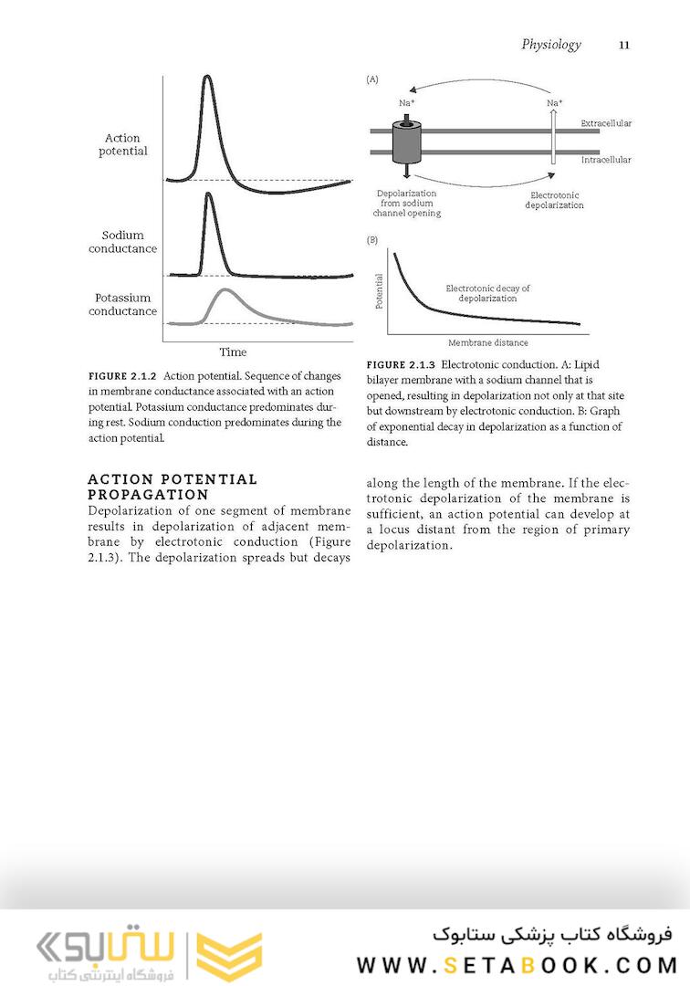 Atlas of EEG, Seizure Semiology, and Management 3rd Edición
