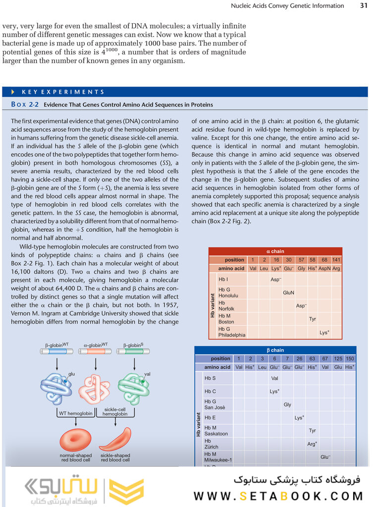 Molecular Biology of the Gene, 7th Edition 2014
