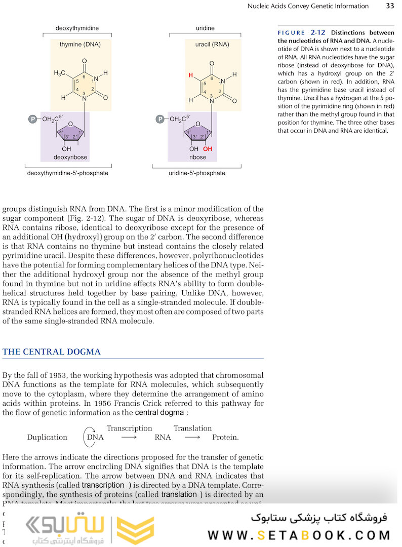 Molecular Biology of the Gene, 7th Edition 2014
