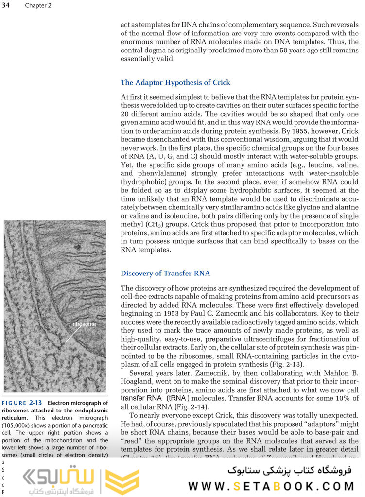 Molecular Biology of the Gene, 7th Edition 2014