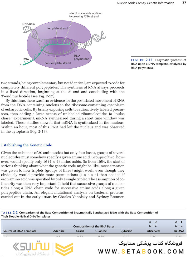 Molecular Biology of the Gene, 7th Edition 2014