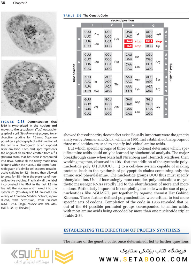 Molecular Biology of the Gene, 7th Edition 2014