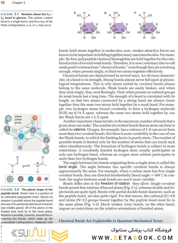 Molecular Biology of the Gene, 7th Edition 2014