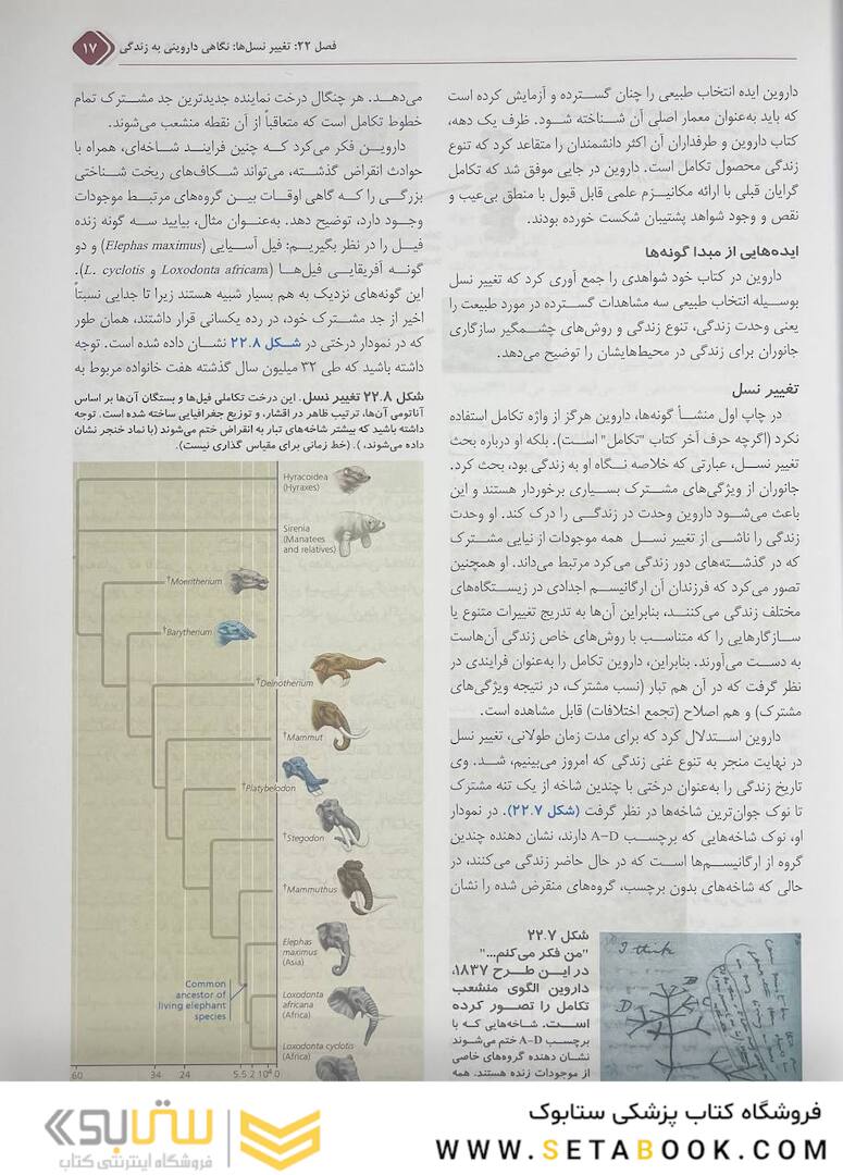بیولوژی کمپبل 2021 جلد 4 مکانیسم تکامل و تاریخچه تکاملی تنوع زیستی