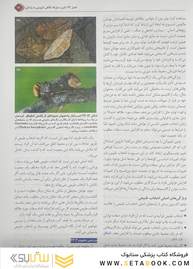 بیولوژی کمپبل 2021 جلد 4 مکانیسم تکامل و تاریخچه تکاملی تنوع زیستی