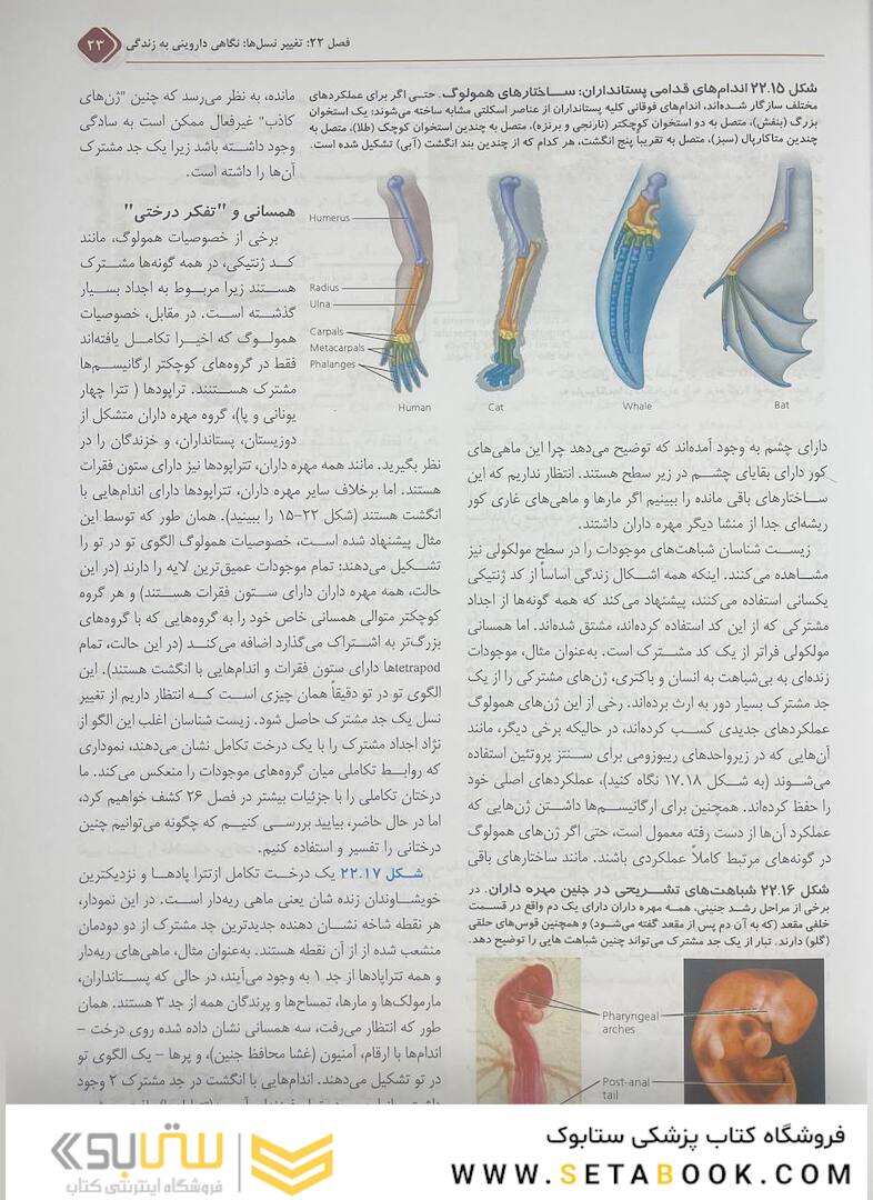 بیولوژی کمپبل 2021 جلد 4 مکانیسم تکامل و تاریخچه تکاملی تنوع زیستی