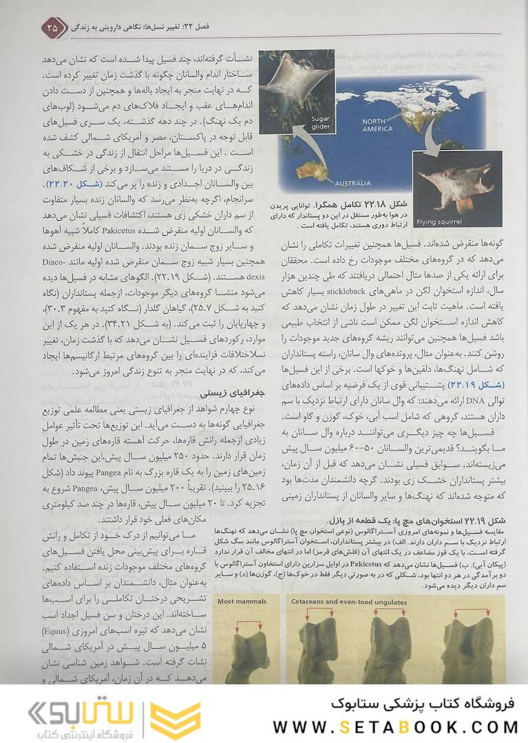 بیولوژی کمپبل 2021 جلد 4 مکانیسم تکامل و تاریخچه تکاملی تنوع زیستی