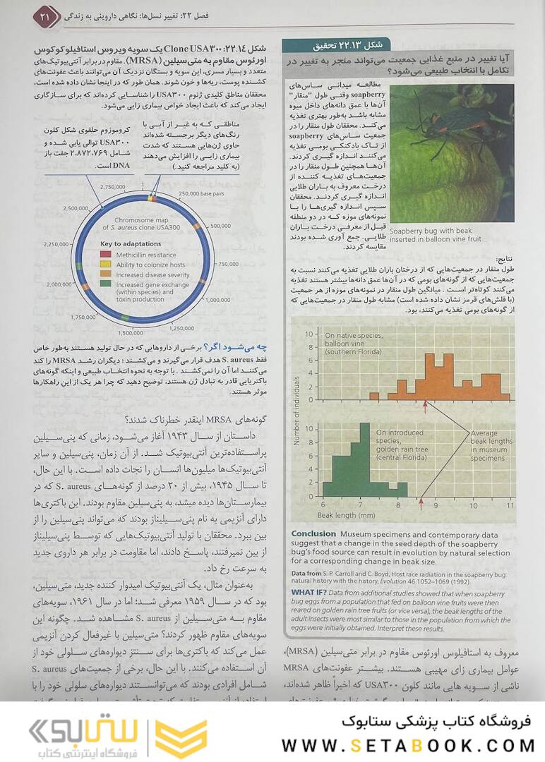 بیولوژی کمپبل 2021 جلد 4 مکانیسم تکامل و تاریخچه تکاملی تنوع زیستی