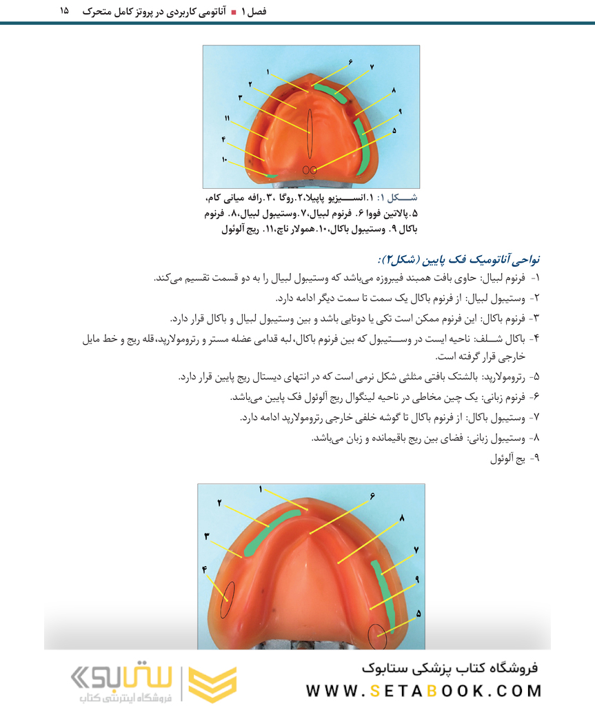 اصول و مبانی کاربردی در ساخت پروتز کامل