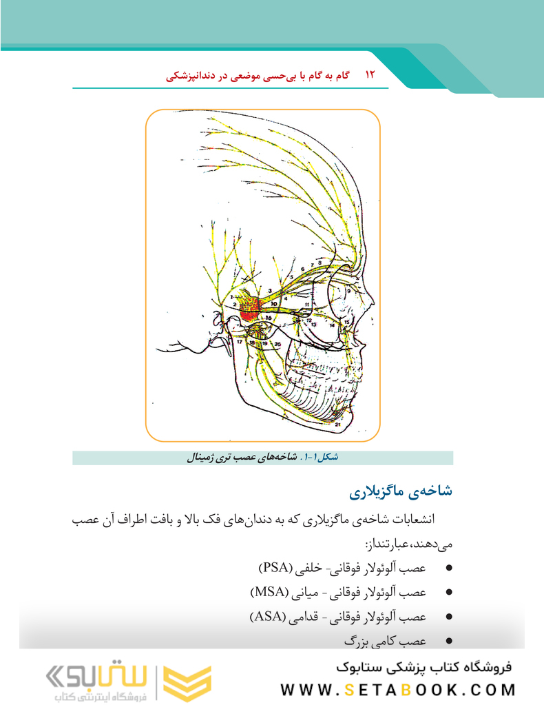 گام به گام با بی حسی موضعی در دندانپزشکی