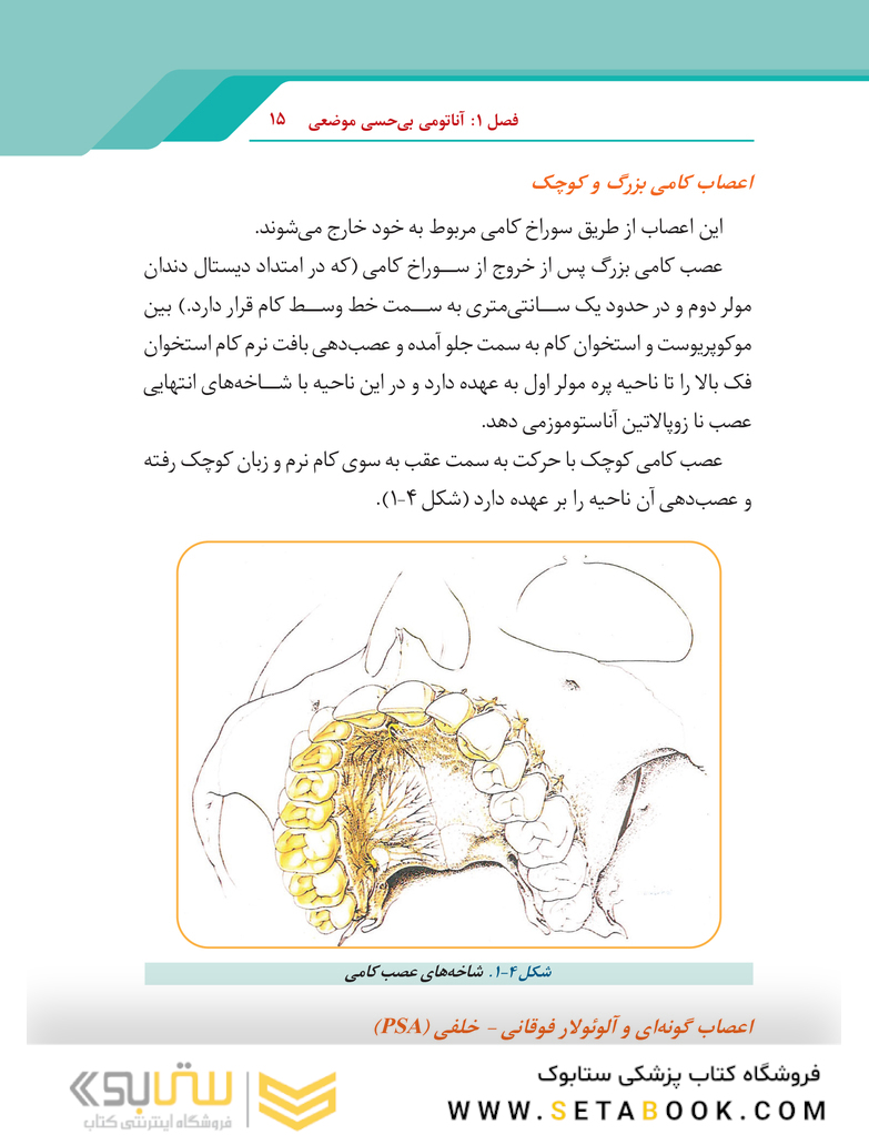 گام به گام با بی حسی موضعی در دندانپزشکی